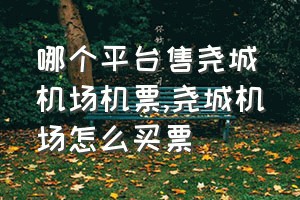 哪个平台售尧城机场机票（尧城机场怎么买票）