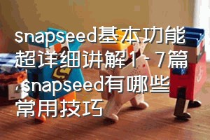 snapseed基本功能超详细讲解1-7篇（snapseed有哪些常用技巧）