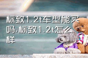 标致1.2t车型能买吗（标致1.2t怎么样）