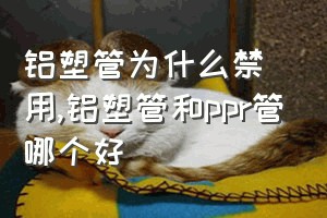 铝塑管为什么禁用（铝塑管和ppr管哪个好）