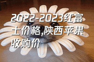 2022-2023红富士价格（陕西苹果收购价）