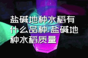 盐碱地种水稻有什么品种（盐碱地种水稻质量）