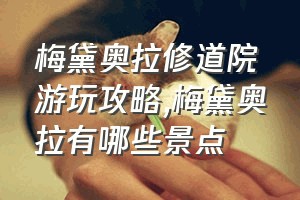 梅黛奥拉修道院游玩攻略（梅黛奥拉有哪些景点）