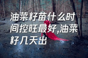 油菜籽苗什么时间控旺最好（油菜籽几天出苖）