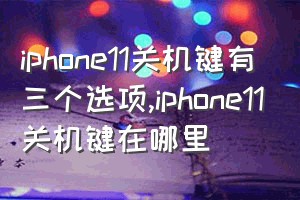 iphone11关机键有三个选项（iphone11关机键在哪里）