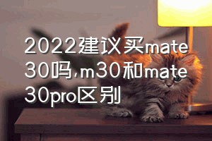 2022建议买mate30吗（m30和mate30pro区别）