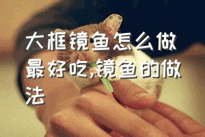 大框镜鱼怎么做最好吃（镜鱼的做法）