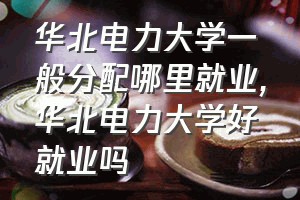 华北电力大学一般分配哪里就业（华北电力大学好就业吗）