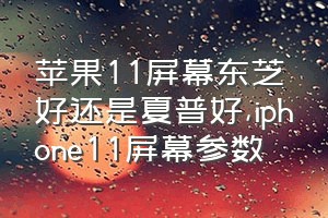 苹果11屏幕东芝好还是夏普好（iphone11屏幕参数）