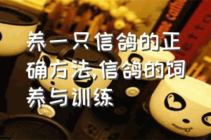 养一只信鸽的正确方法（信鸽的饲养与训练）