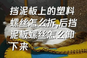 挡泥板上的塑料螺丝怎么拆（后挡泥板螺丝怎么卸下来）