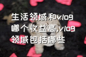 生活领域和vlog哪个收益高（vlog领域包括哪些）