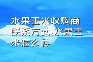 水果玉米收购商联系方式（水果玉米怎么种）