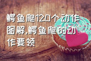 鳄鱼爬120个动作图解（鳄鱼爬的动作要领）