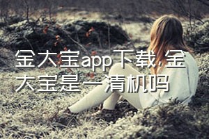 金大宝app下载（金大宝是一清机吗）