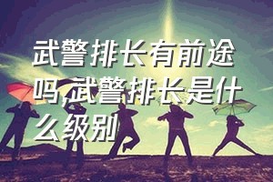 武警排长有前途吗（武警排长是什么级别）