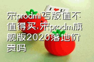 宋prodmi丐版值不值得买（宋prodm旗舰版2020落地价贵吗）