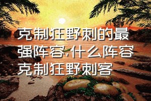 克制狂野刺的最强阵容（什么阵容克制狂野刺客）