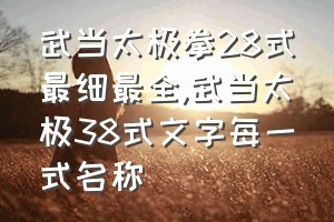 武当太极拳28式最细最全（武当太极38式文字每一式名称）