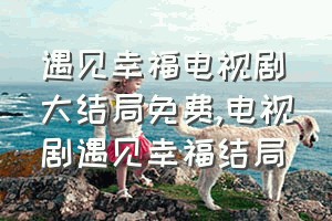 遇见幸福电视剧大结局免费（电视剧遇见幸福结局）