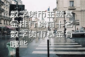 数字货币主题基金排行榜前十名（数字货币基金有哪些）