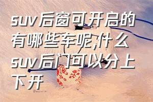 suv后窗可开启的有哪些车呢（什么suv后门可以分上下开）