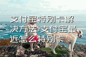 支付宝特别卡解决方法（支付宝最近怎么特别卡）