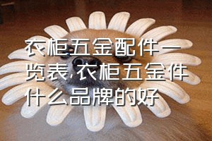 衣柜五金配件一览表（衣柜五金件什么品牌的好）