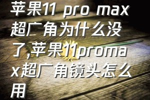 苹果11 pro max超广角为什么没了（苹果11promax超广角镜头怎么用）