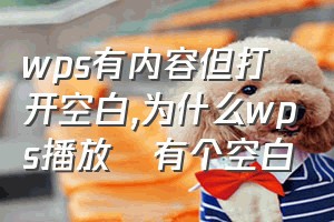 wps有内容但打开空白（为什么wps播放吋有个空白）