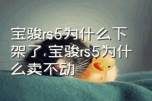 宝骏rs5为什么下架了（宝骏rs5为什么卖不动）