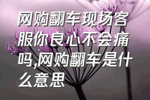 网购翻车现场客服你良心不会痛吗（网购翻车是什么意思）