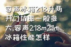 容声冰箱218升两开门功率一般多大（容声218m21n冰箱性能怎样）