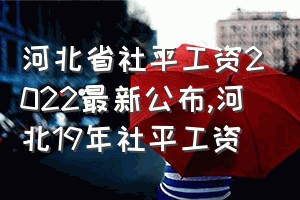 河北省社平工资2022最新公布（河北19年社平工资）