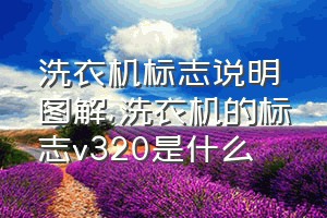 洗衣机标志说明图解（洗衣机的标志v320是什么）