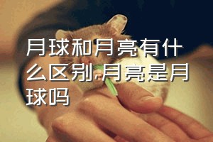 月球和月亮有什么区别（月亮是月球吗）