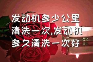 发动机多少公里清洗一次（发动机多久清洗一次好）