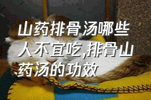 山药排骨汤哪些人不宜吃（排骨山药汤的功效）