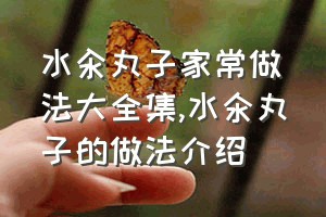 水汆丸子家常做法大全集（水氽丸子的做法介绍）