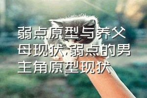 弱点原型与养父母现状（弱点的男主角原型现状）