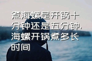 煮海螺是开锅十分钟还是五分钟（海螺开锅煮多长时间）