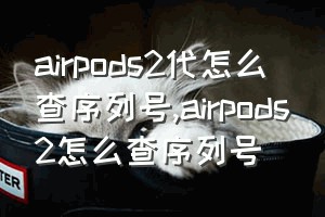 airpods2代怎么查序列号（airpods2怎么查序列号）
