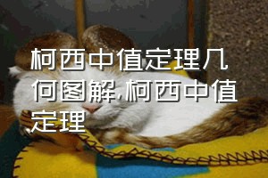 柯西中值定理几何图解（柯西中值定理）