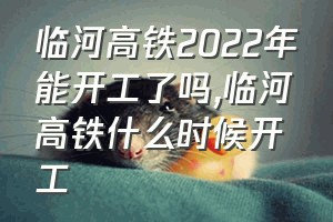 临河高铁2022年能开工了吗（临河高铁什么时候开工）