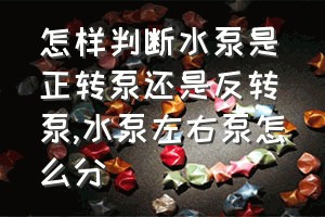 怎样判断水泵是正转泵还是反转泵（水泵左右泵怎么分）