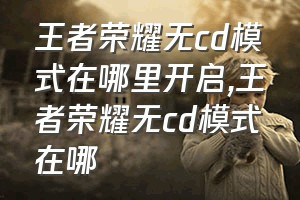 王者荣耀无cd模式在哪里开启（王者荣耀无cd模式在哪）