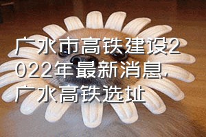 广水市高铁建设2022年最新消息（广水高铁选址）