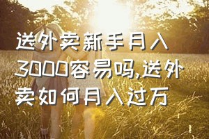 送外卖新手月入3000容易吗（送外卖如何月入过万）