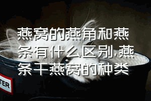 燕窝的燕角和燕条有什么区别（燕条干燕窝的种类）