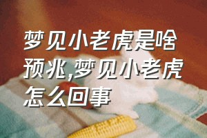 梦见小老虎是啥预兆（梦见小老虎怎么回事）